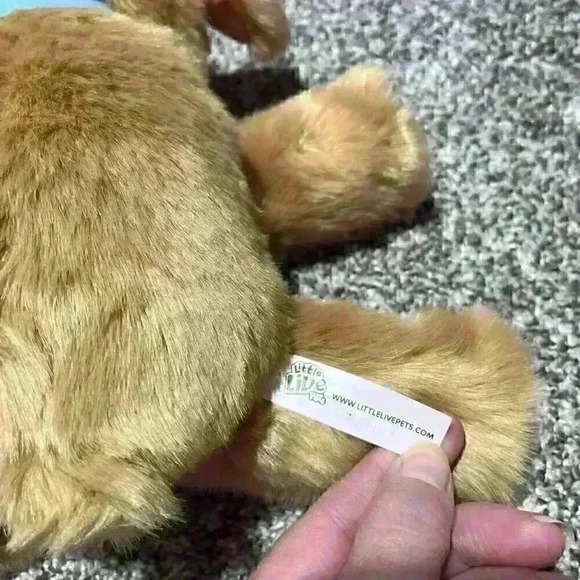 LITTLE LIVE PETS Snuggles My Dream Puppy Dog Golden Plush 2015- Non Working-*** - Picture 8 of 9